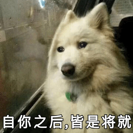 自你之后,皆是将就